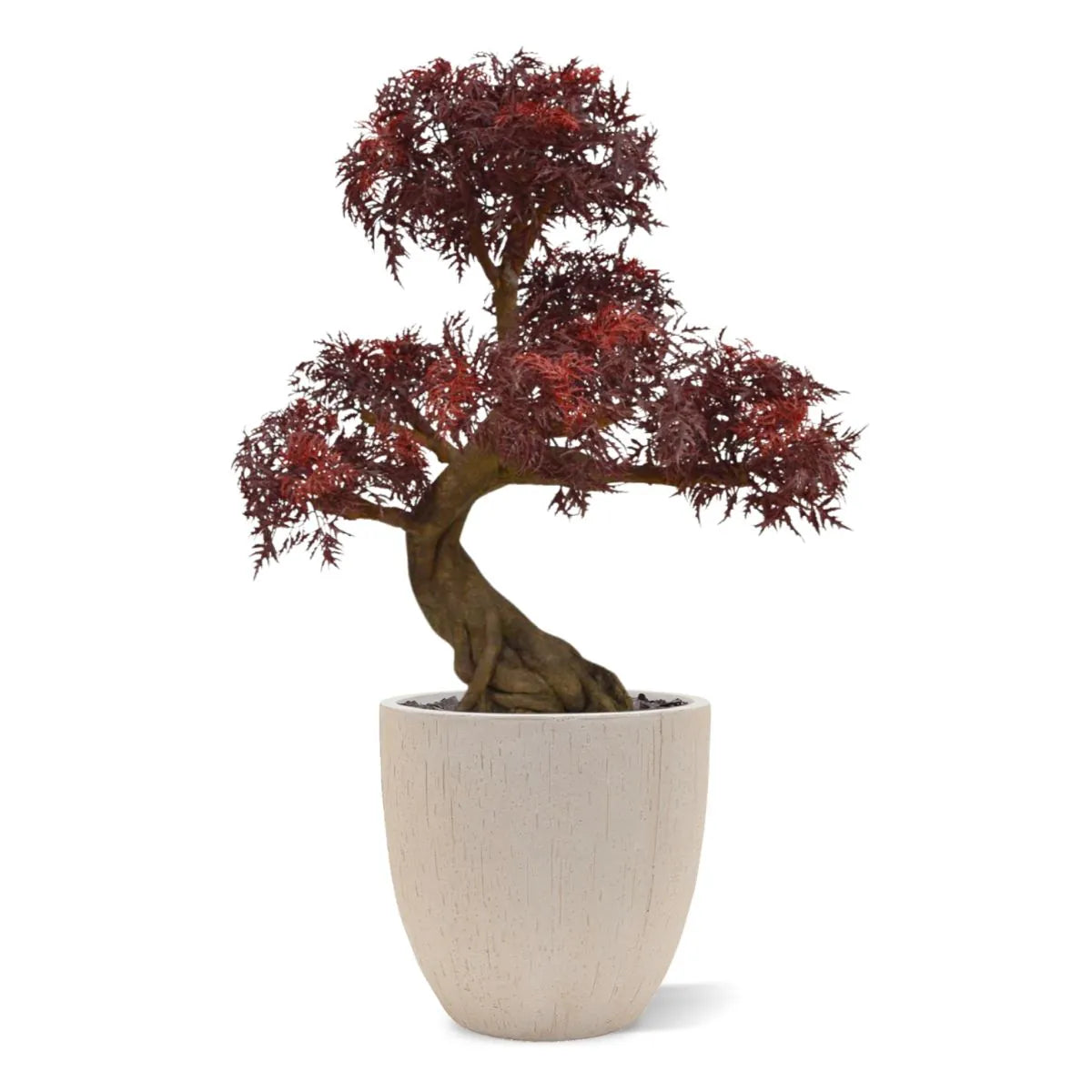 Kunstmatige Ming Aralia bonsai voor buiten in bordeauxrood met geteste UV-garantie.