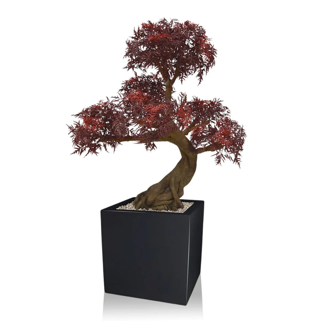 Kunstmatige Ming Aralia bonsai voor buiten in bordeauxrood met geteste UV-garantie.