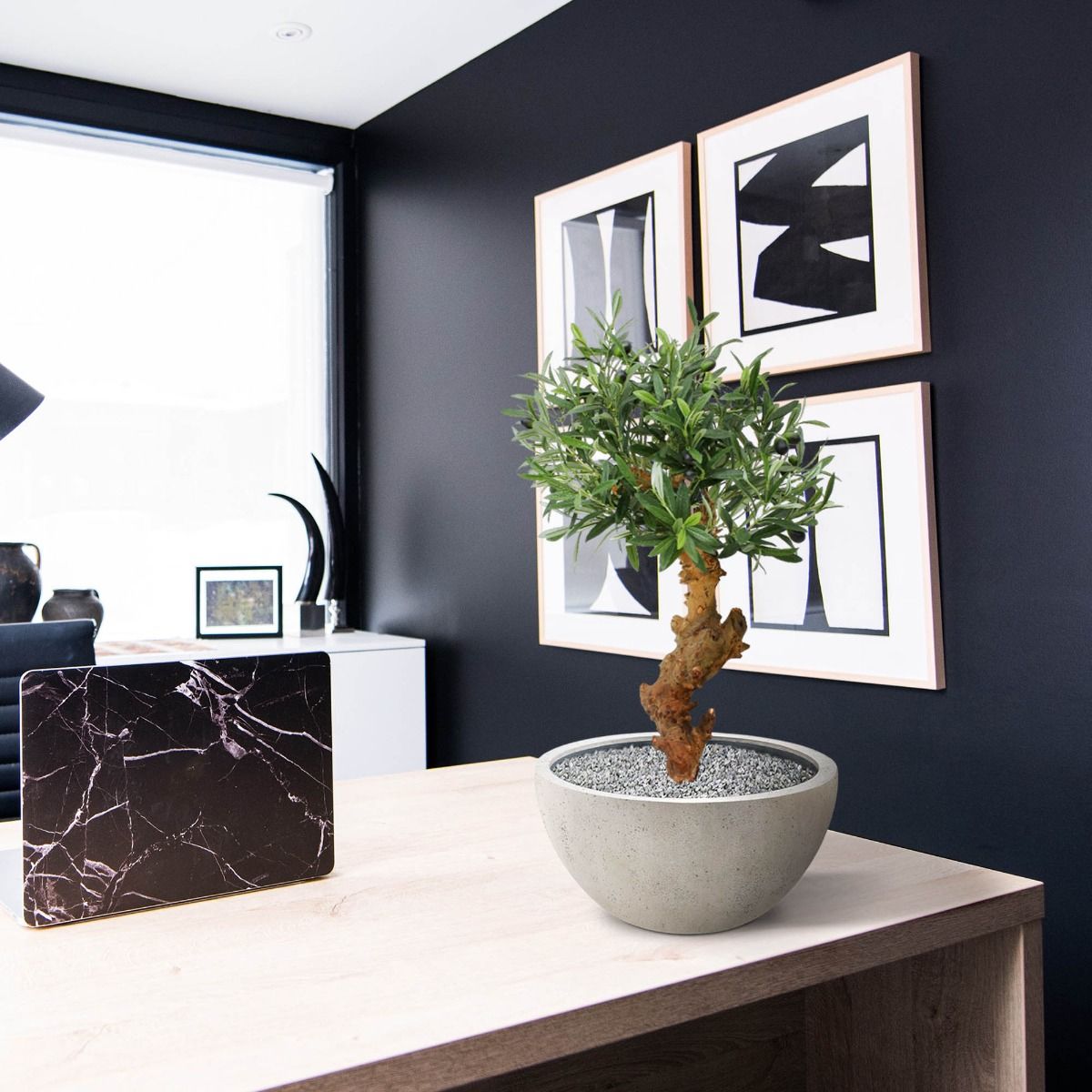Olijf Bonsai deluxe kunstboom op voet 60cm