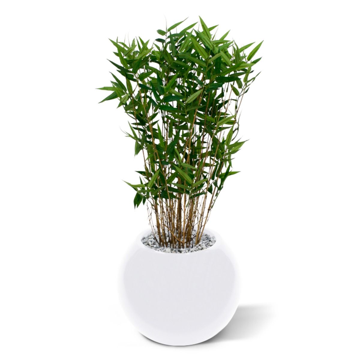Oriëntal Bamboe kunstplant 70cm