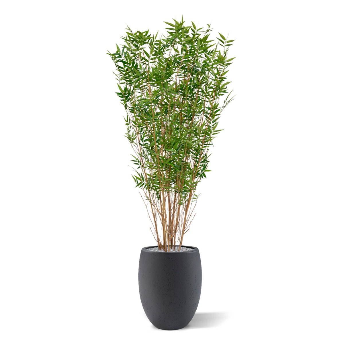 Oriental Bamboe kunstboom 160cm