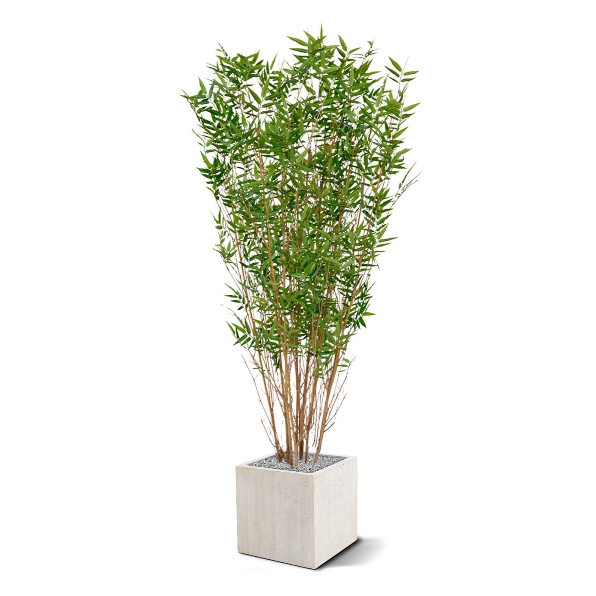 Oriental Bamboe kunstboom 160cm
