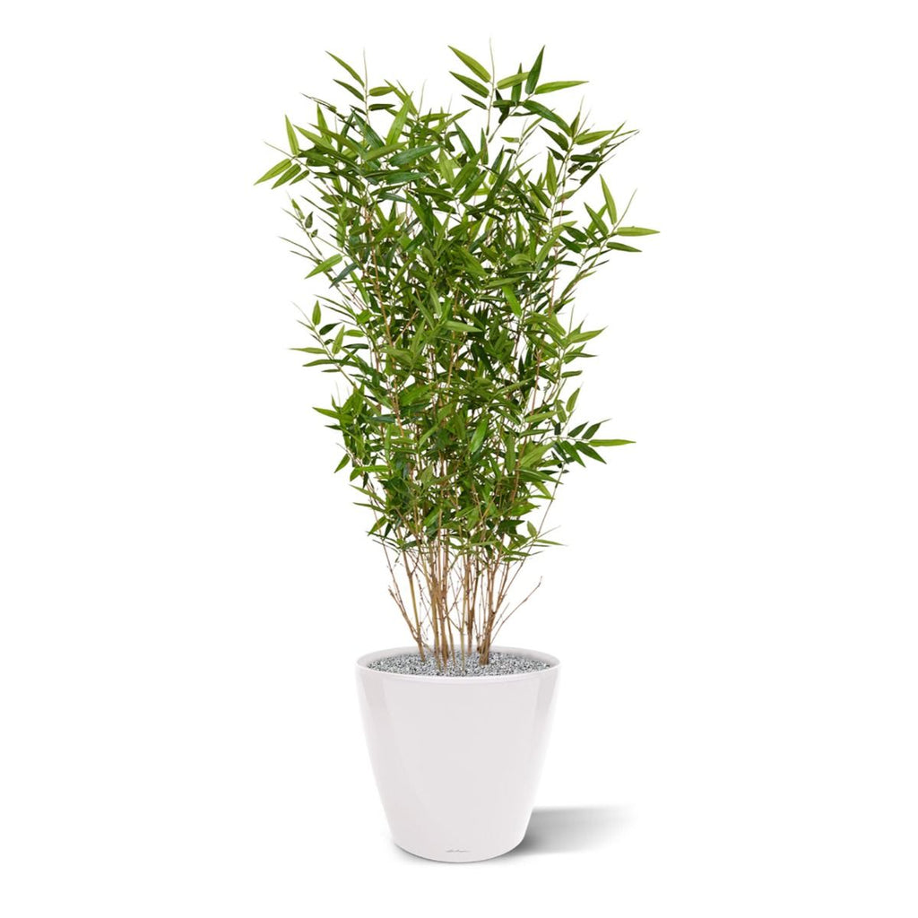 Oriental Bamboe kunstplant 100cm