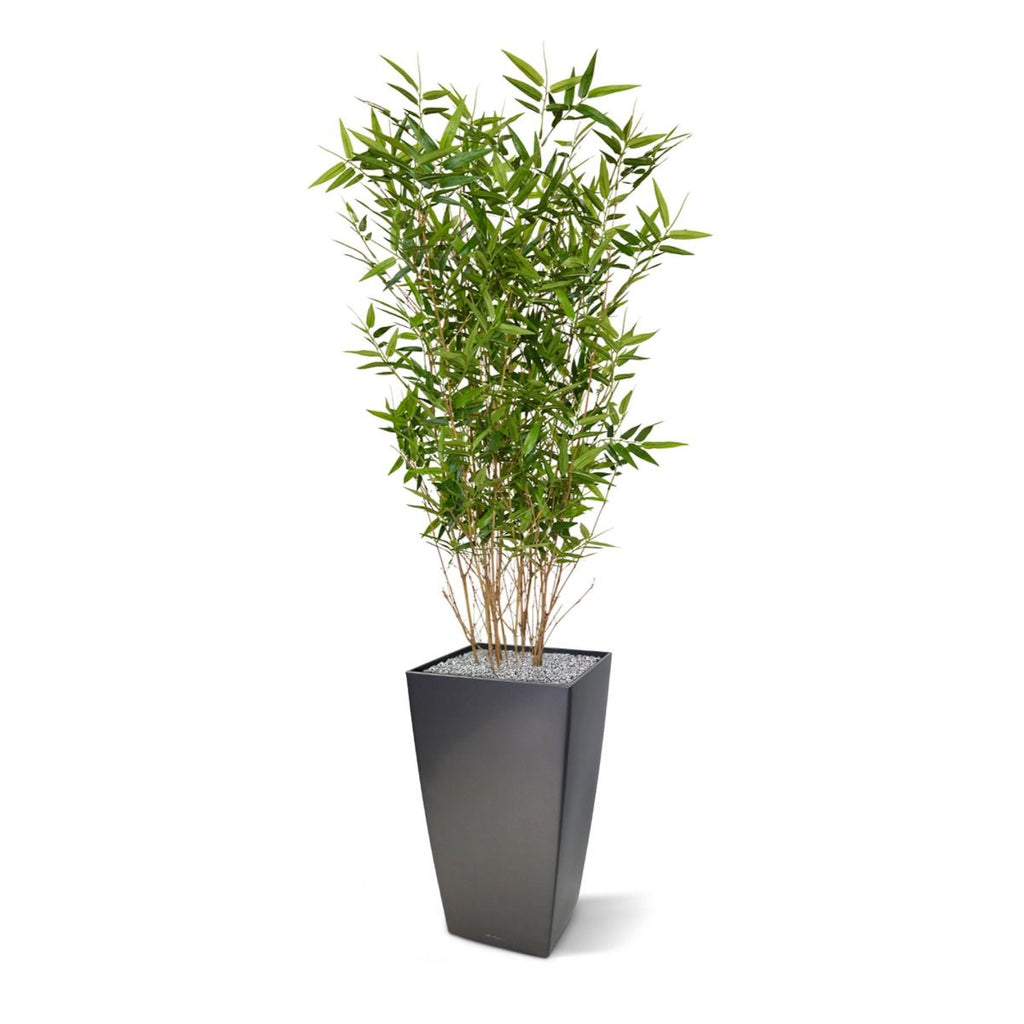 Oriental Bamboe kunstplant 100cm