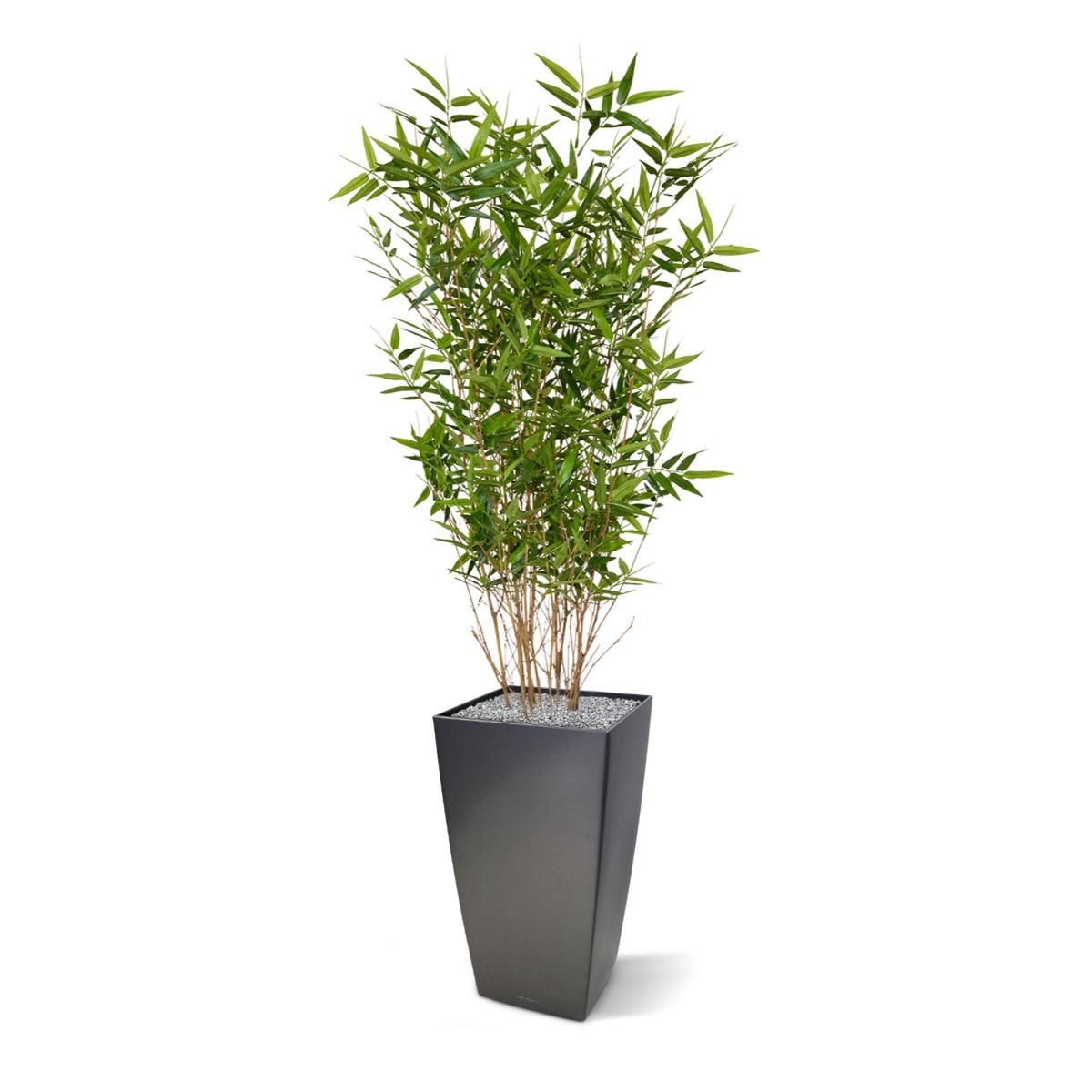 Oriental Bamboe kunstplant 100cm