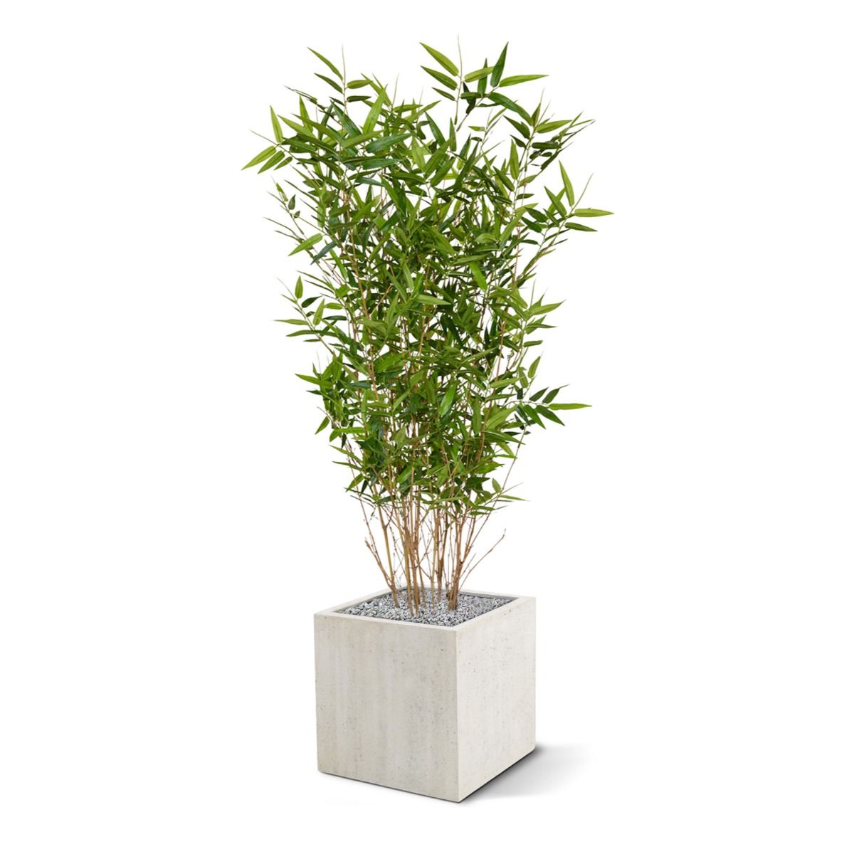 Oriental Bamboe kunstplant 100cm