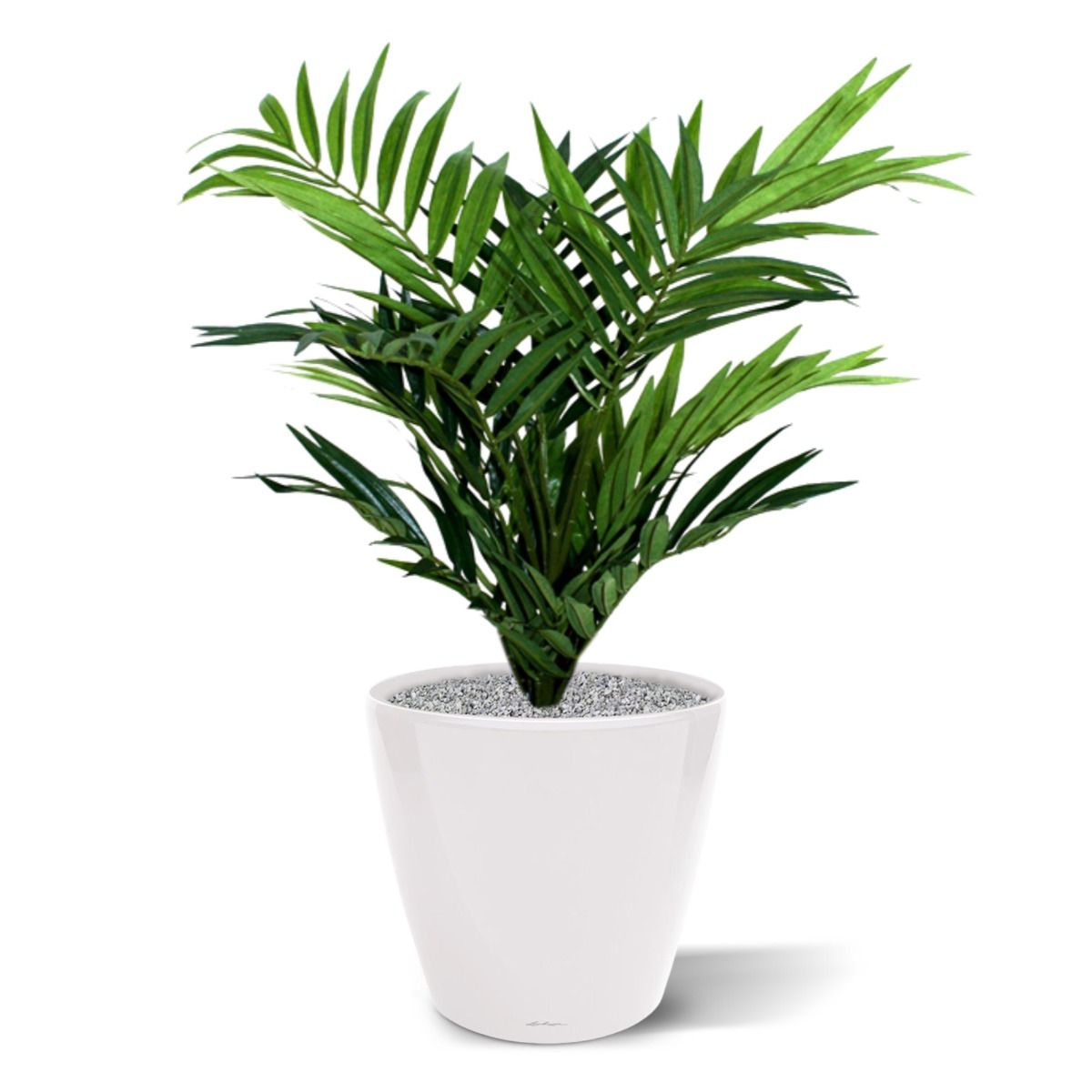 Parlour kunstpalm 50cm in 12cm potje