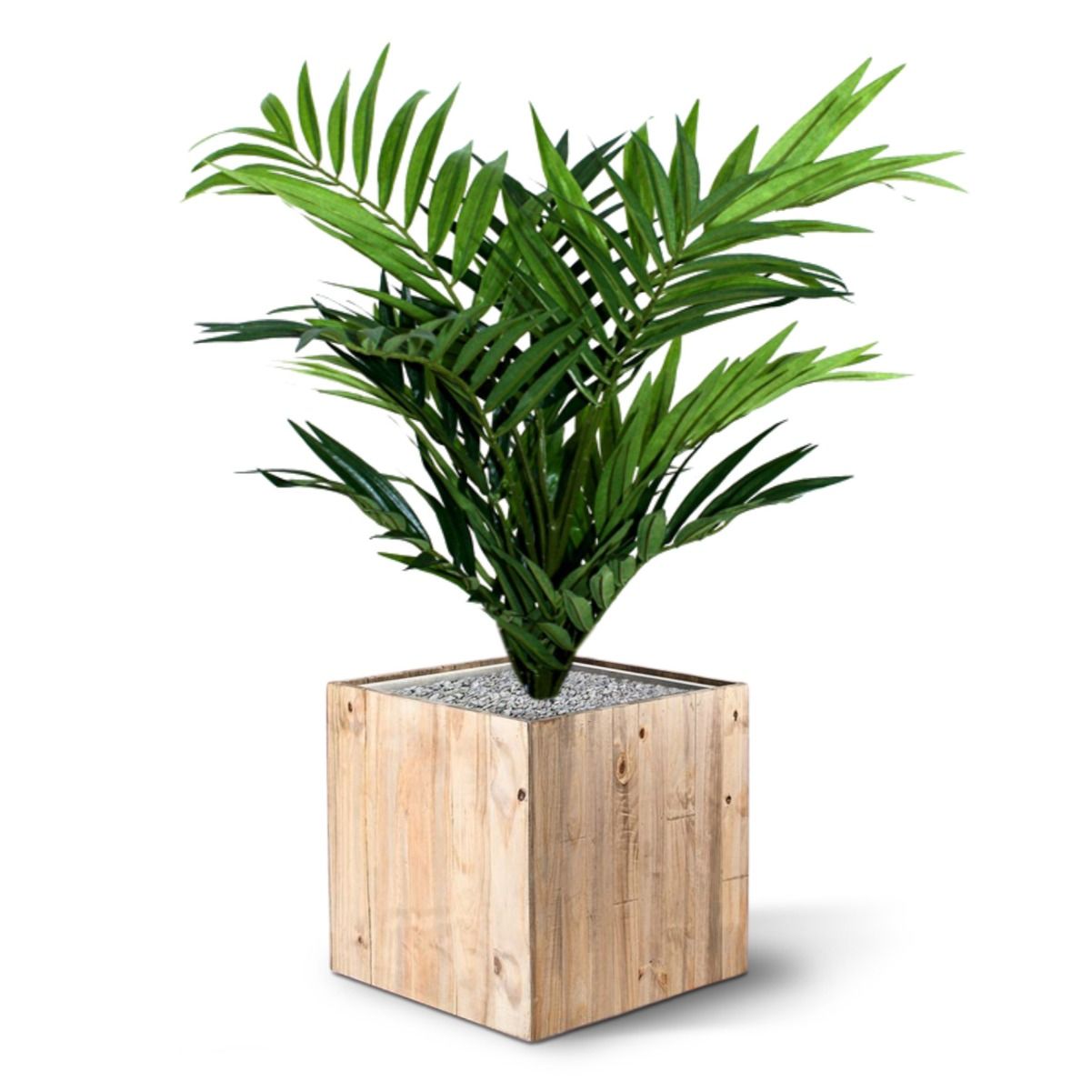 Parlour kunstpalm 50cm in 12cm potje