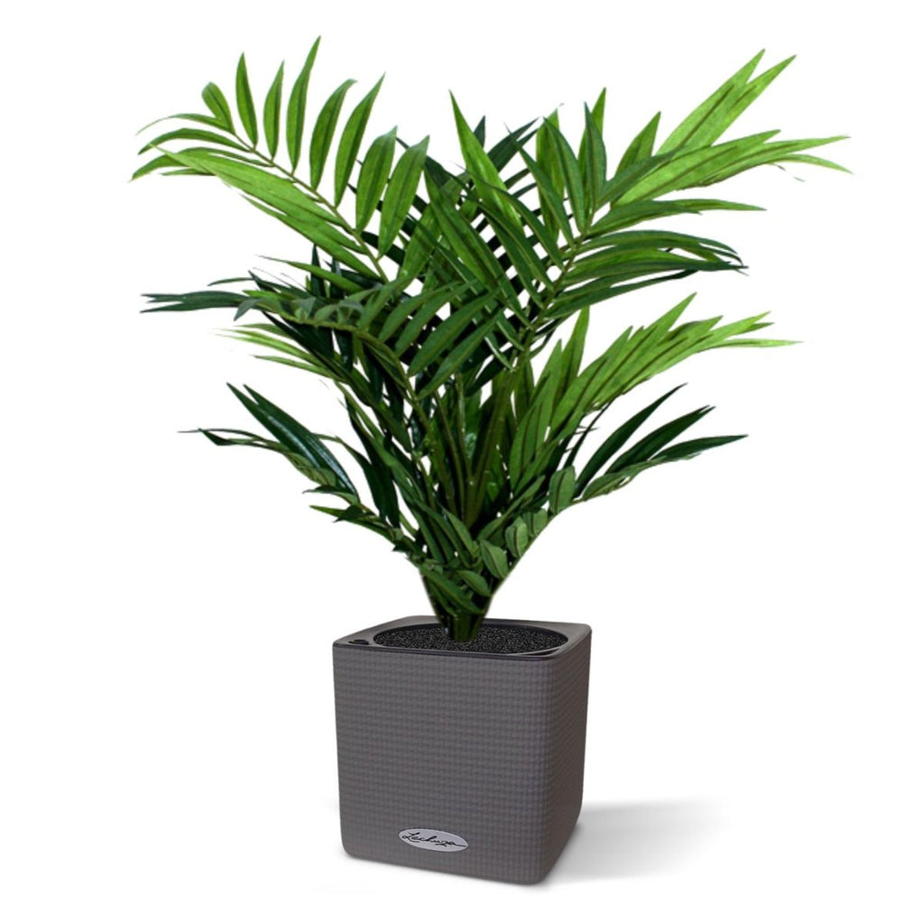 Parlour kunstpalm 50cm in 12cm potje
