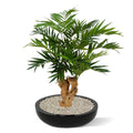 Parlour kunstpalm op voet 65cm