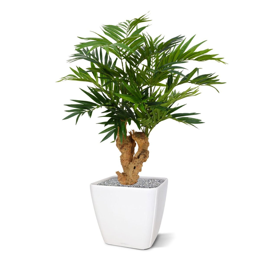 Parlour kunstpalm op voet 65cm
