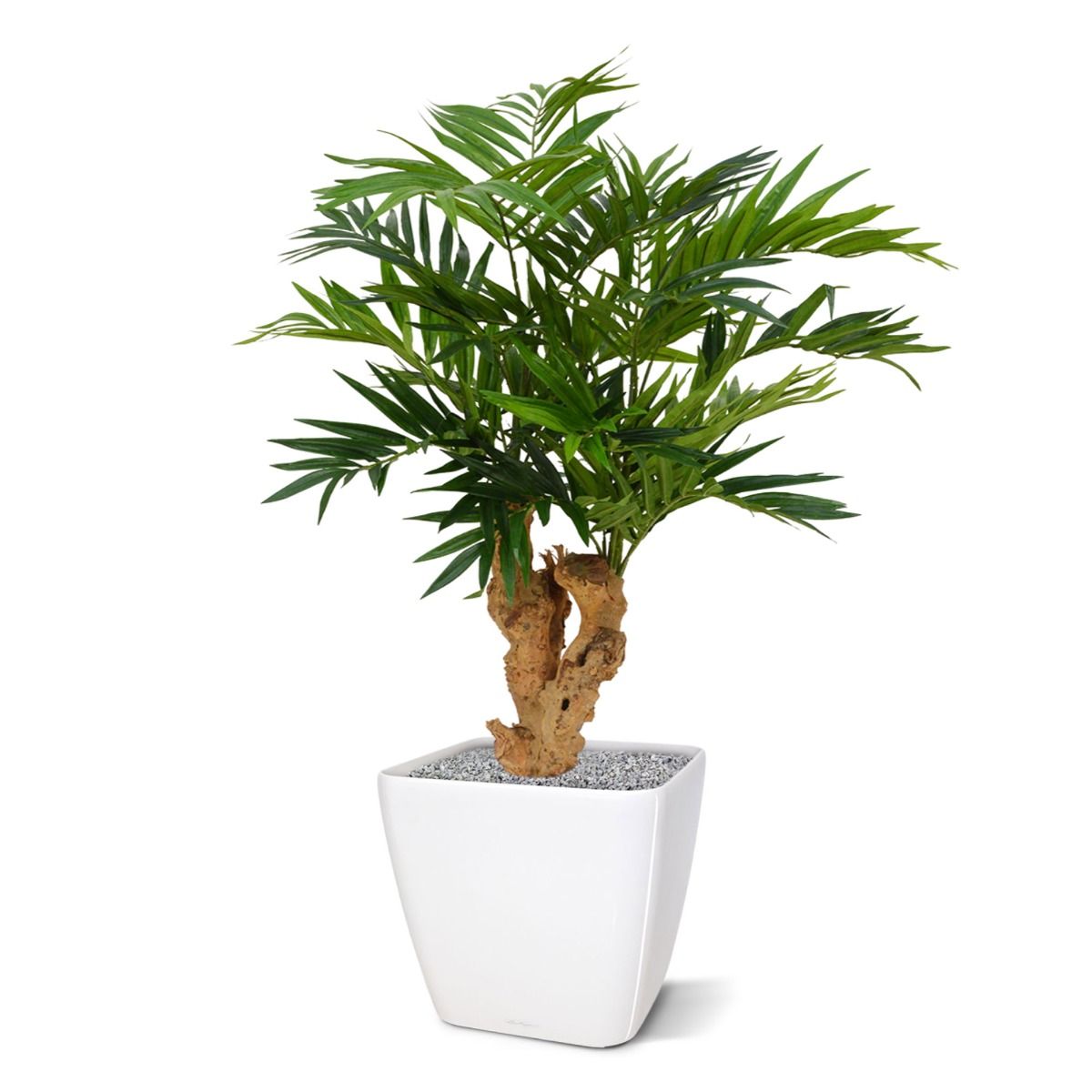 Parlour kunstpalm op voet 65cm