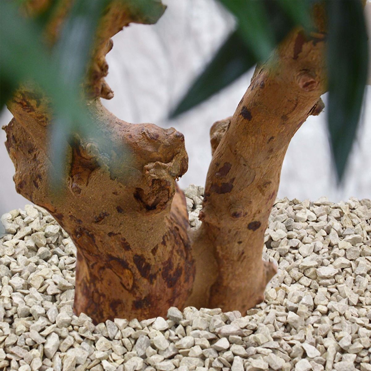 Parlour kunstpalm op voet 65cm
