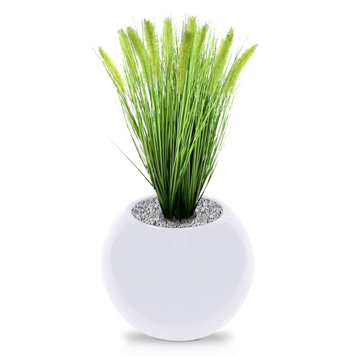 Pennisetum kunst Pluimgras plant 50cm in pot 12cm