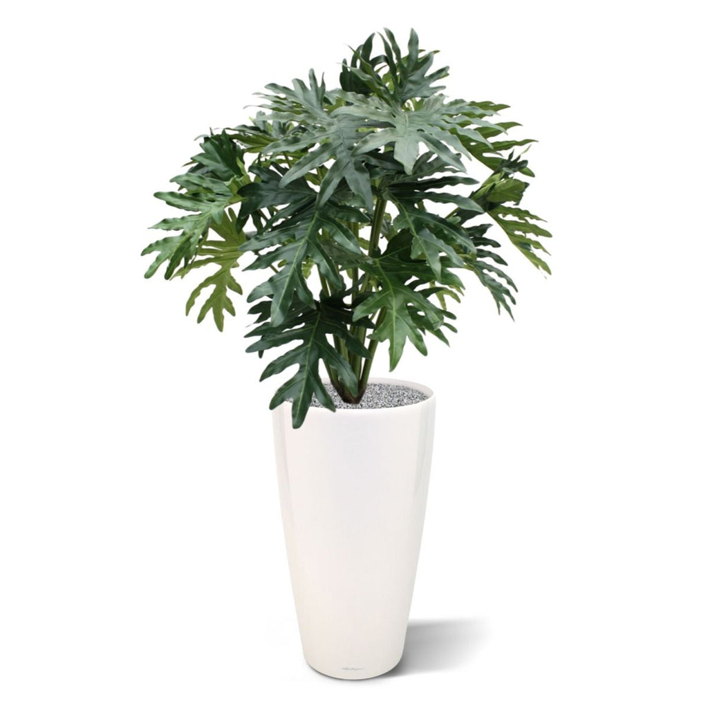 Philo Selloum kunstplant 100cm