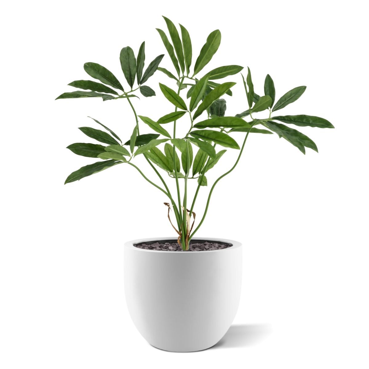 Philodendron Fun Bun Kunstplant 80cm Deluxe