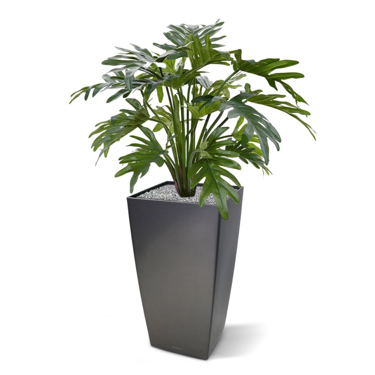 Philodendron Xanadu kunstplant 50cm