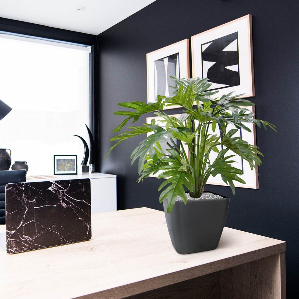 Philodendron Xanadu kunstplant 50cm