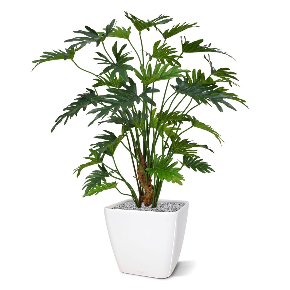Philodendron Xanadu kunstplant 80cm