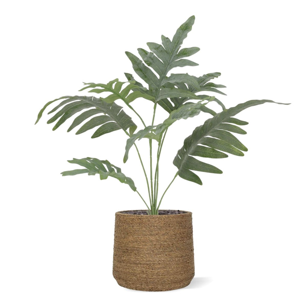 Phlebodium Blauwvaren Kunstplant 60cm