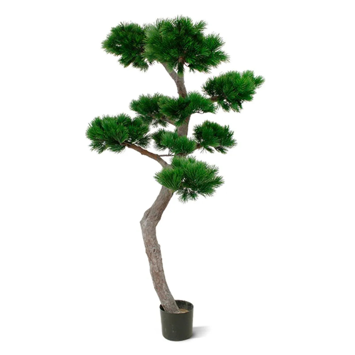 Luxe buitenkunstwerk: Pinus Bonsai XL met UV-bescherming