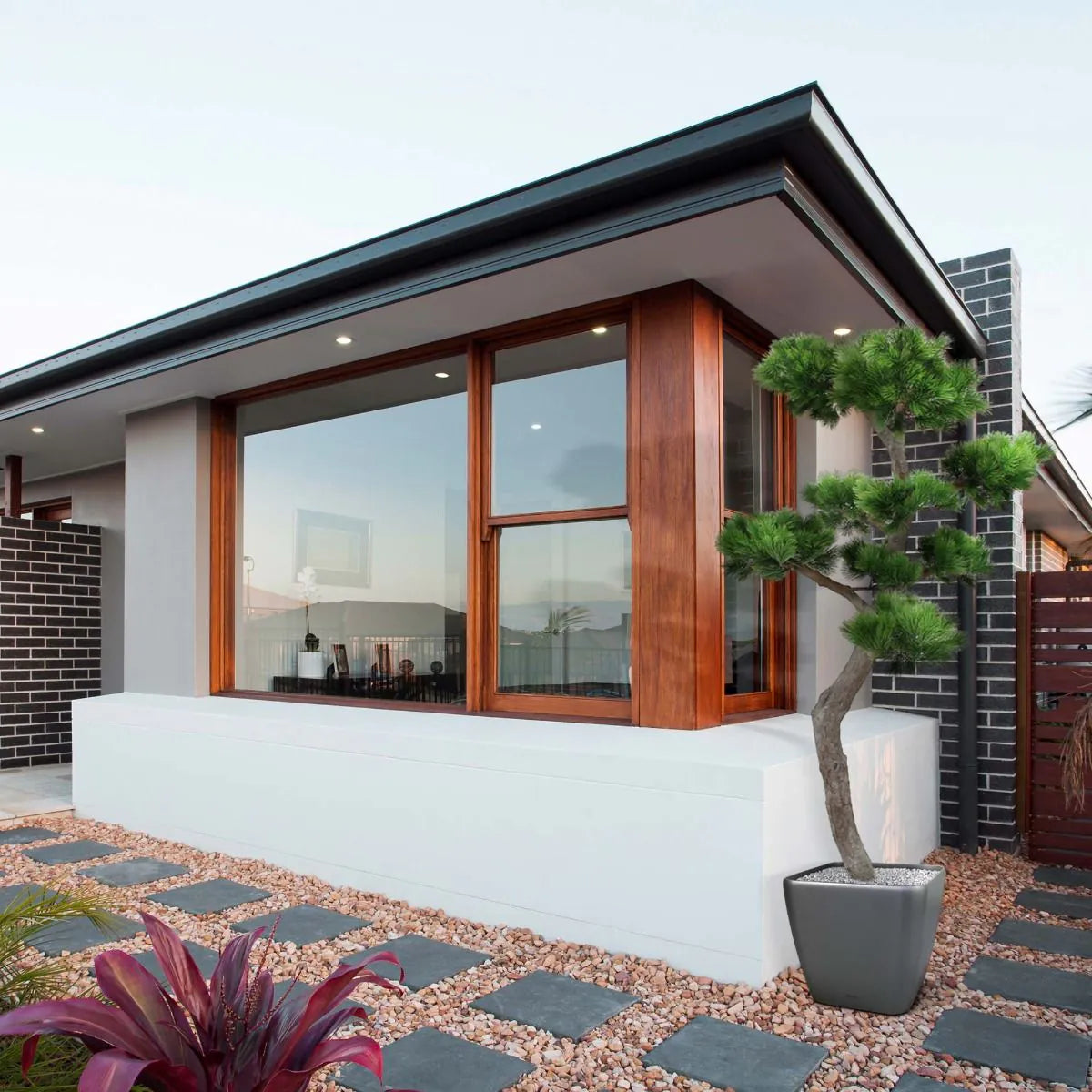 Luxe buitenkunstwerk: Pinus Bonsai XL met UV-bescherming