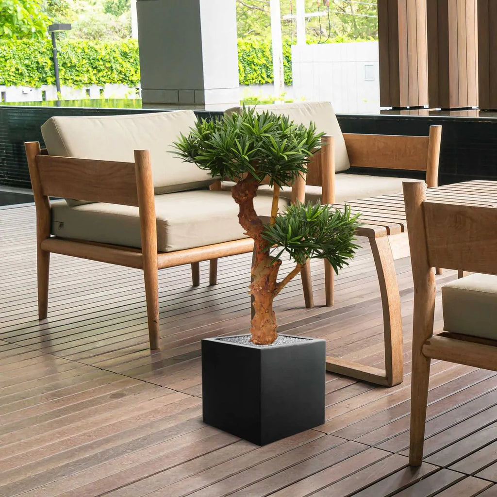 Kunstmatige Podocarpus-plant voor buiten op een echte houten stam van 70 cm met UV-bescherming.
