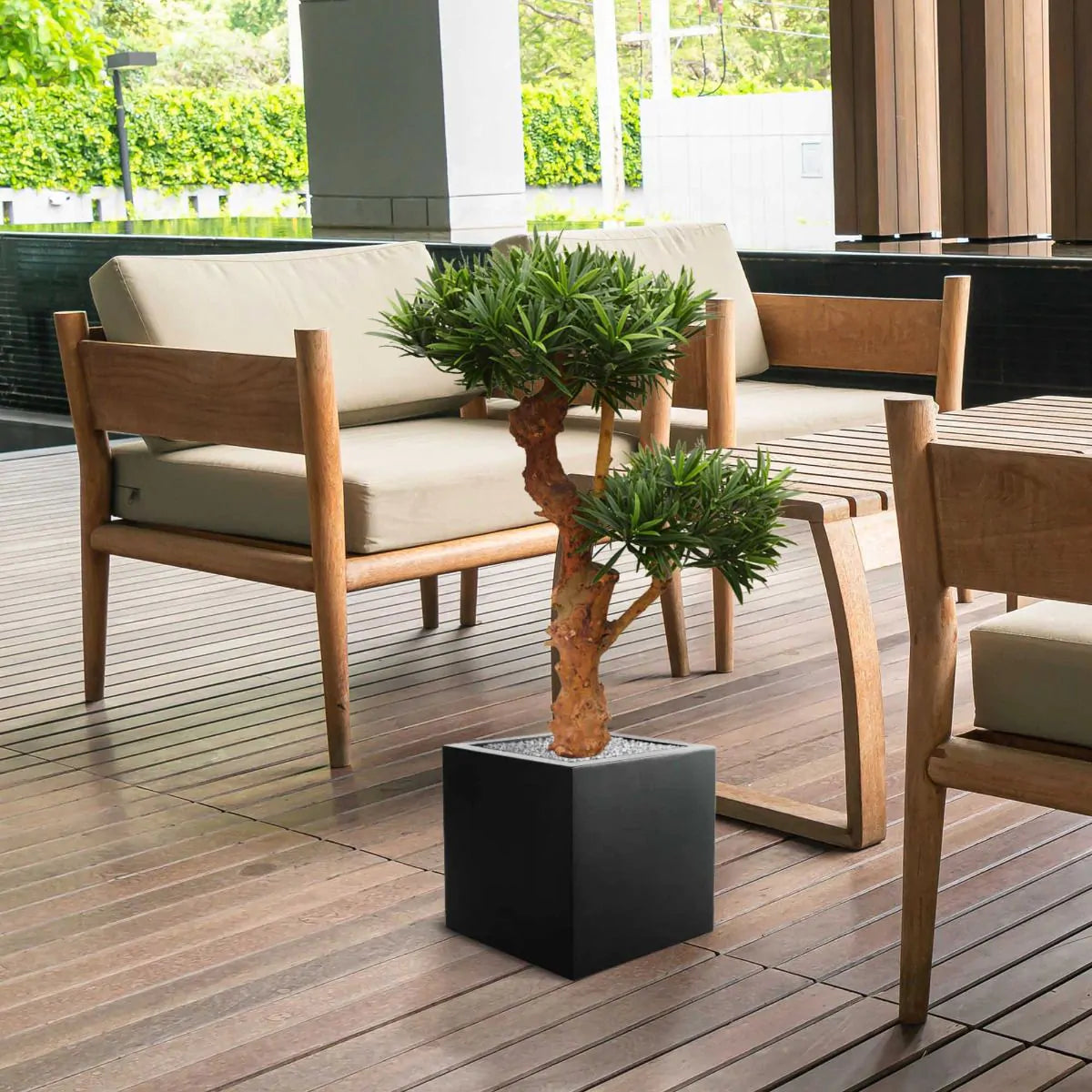 Kunstmatige Podocarpus-plant voor buiten op een echte houten stam van 70 cm met UV-bescherming.
