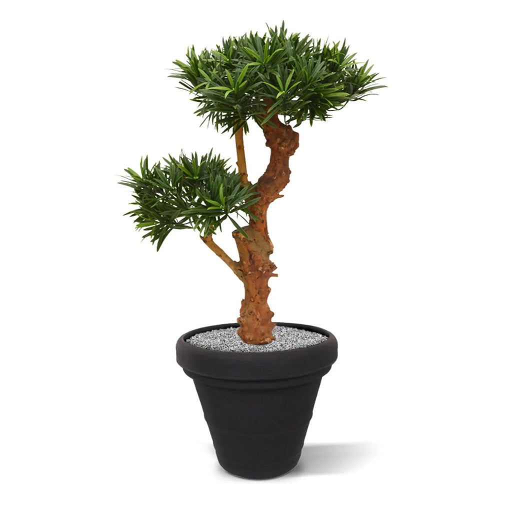 Kunstmatige Podocarpus-plant voor buiten op een echte houten stam van 70 cm met UV-bescherming.