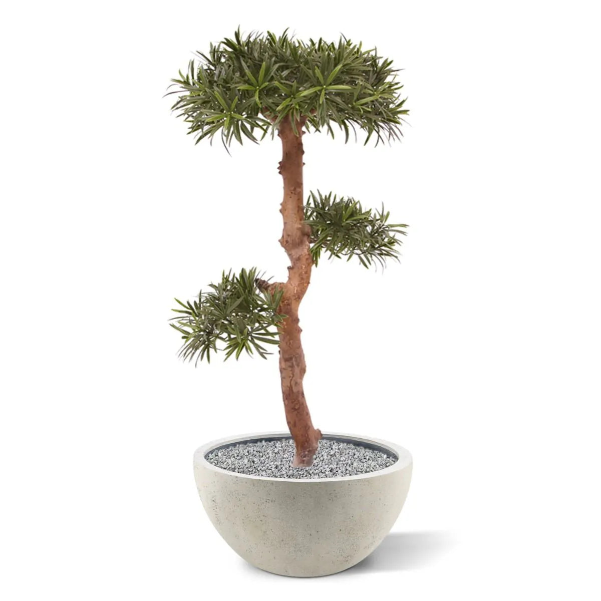 Kunstzinnige Podocarpus Bonsai boom 105 cm UV-bestendig voor buiten