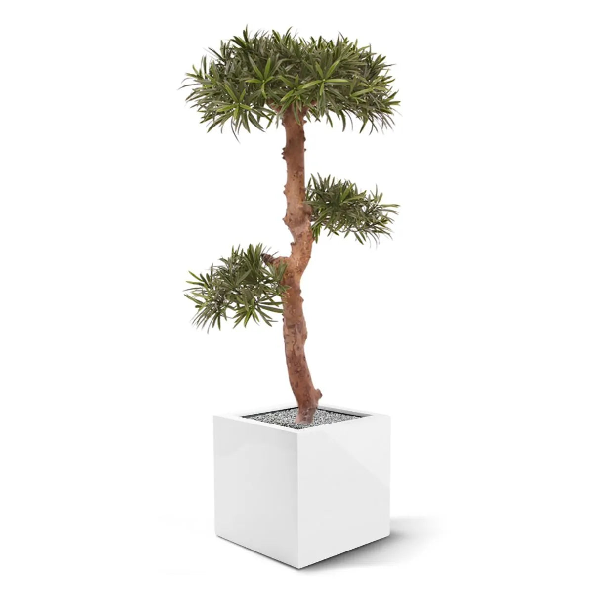Kunstzinnige Podocarpus Bonsai boom 105 cm UV-bestendig voor buiten
