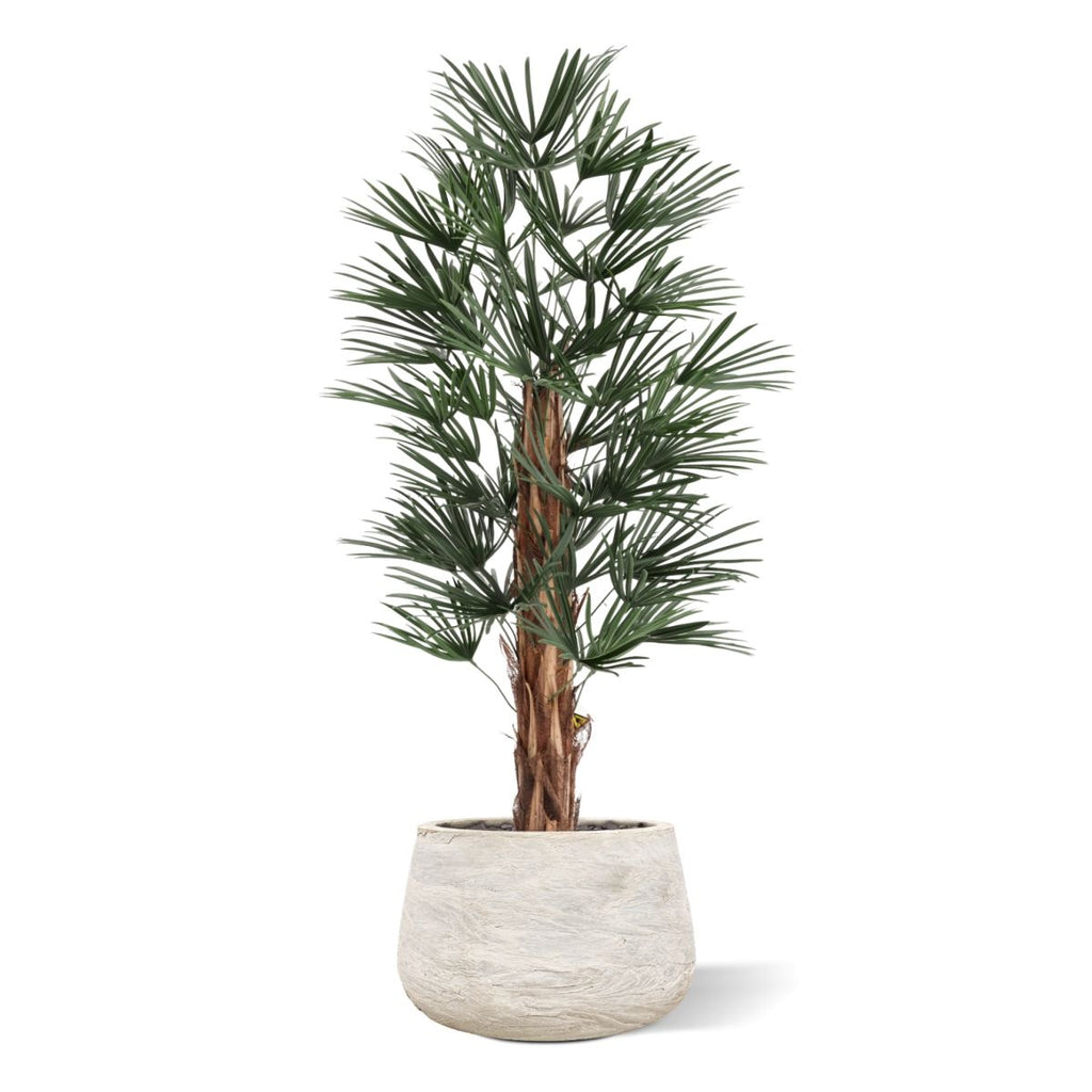 Raphis Kunstpalm 125cm UV in pot