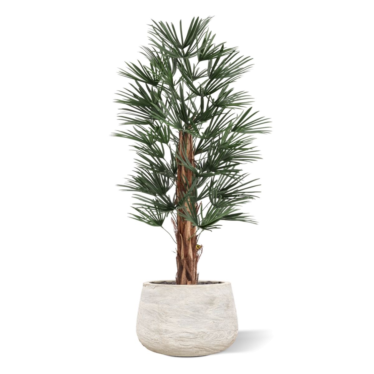 Raphis Kunstpalm 125cm UV in pot