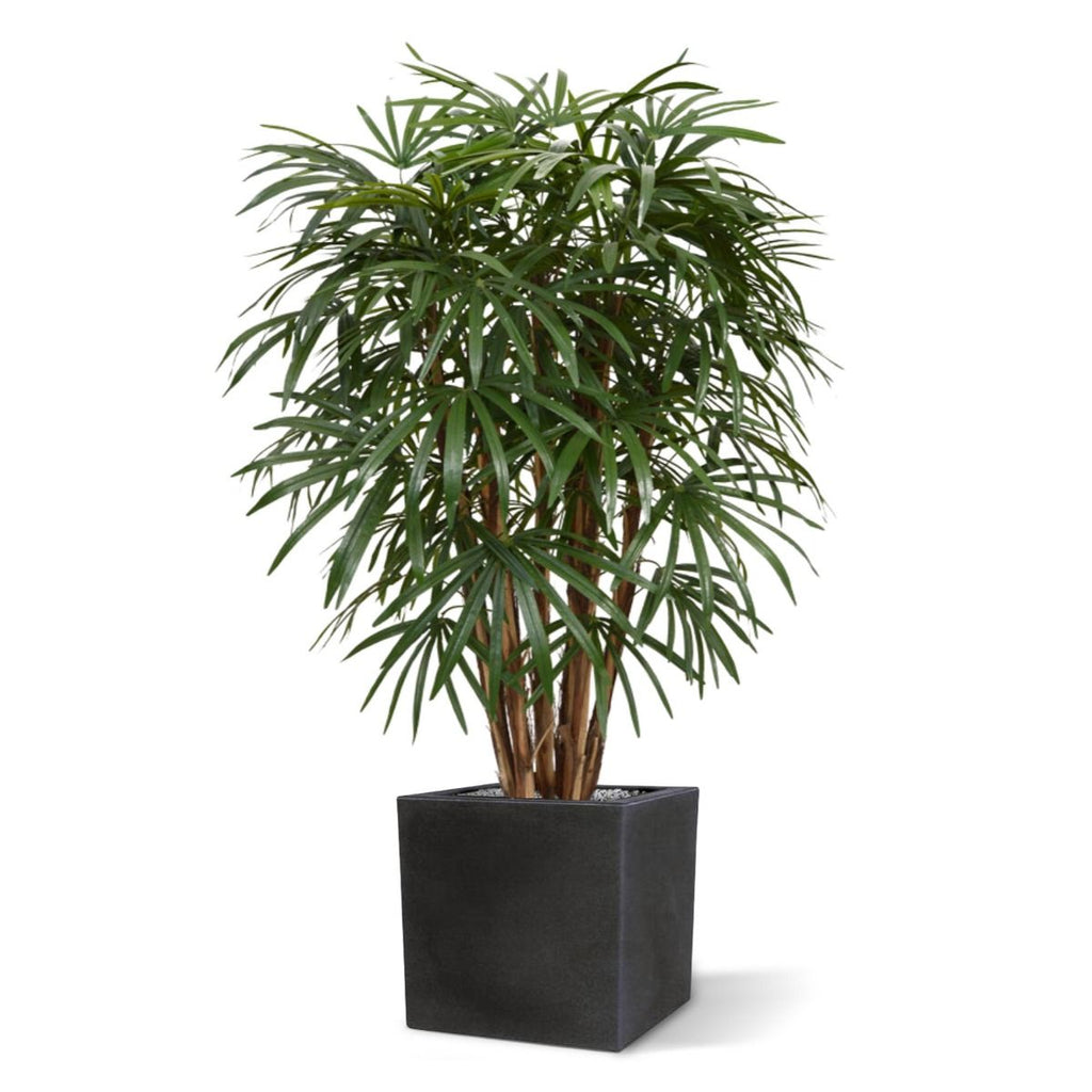 Raphis kunstpalm XL deluxe 130cm