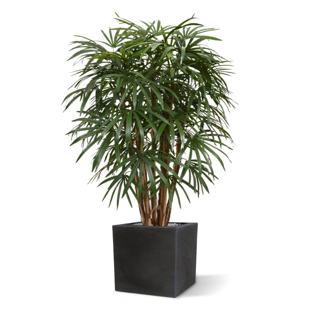 Raphis kunstpalm XL deluxe 130cm