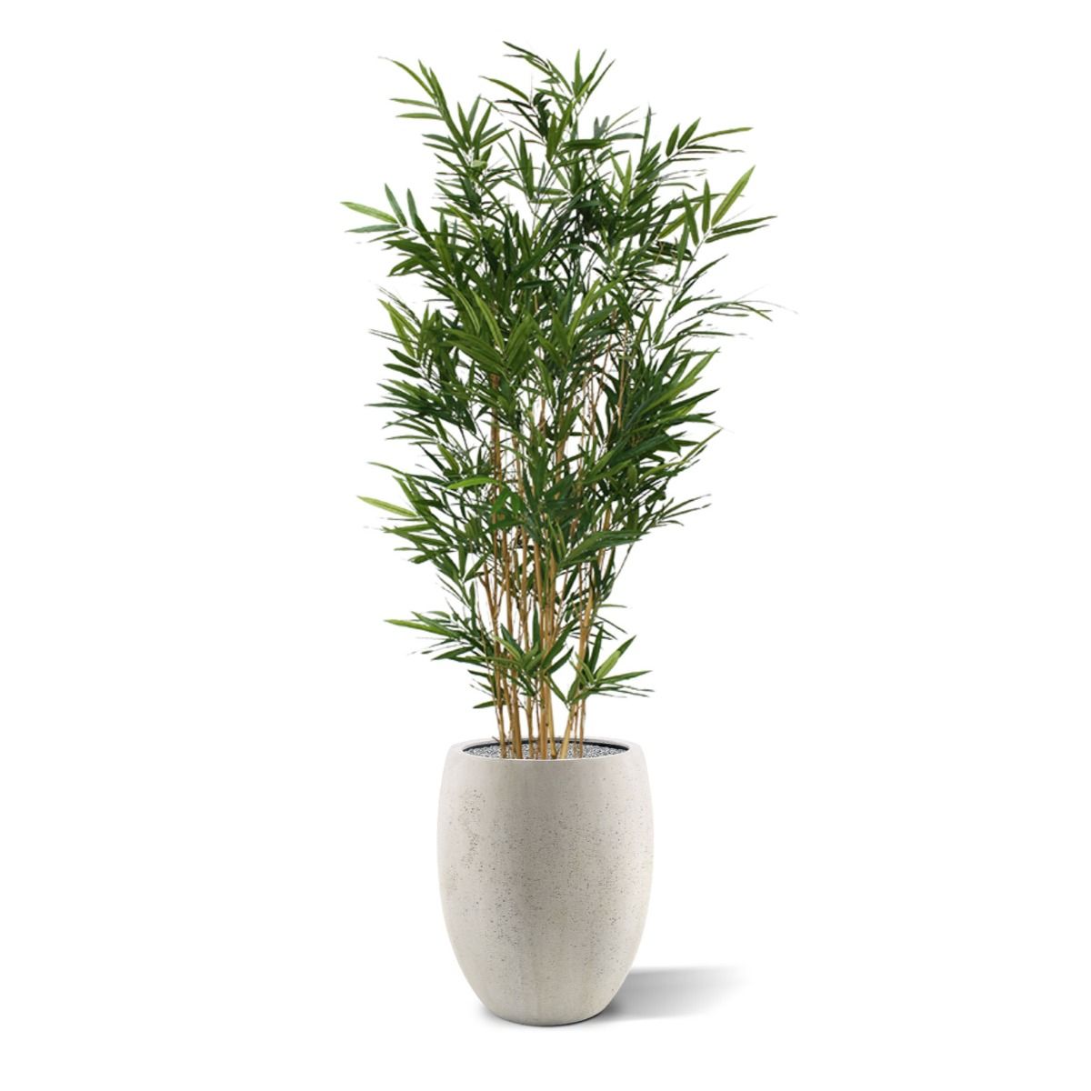 Royal Bamboe kunstboom 165cm - groen