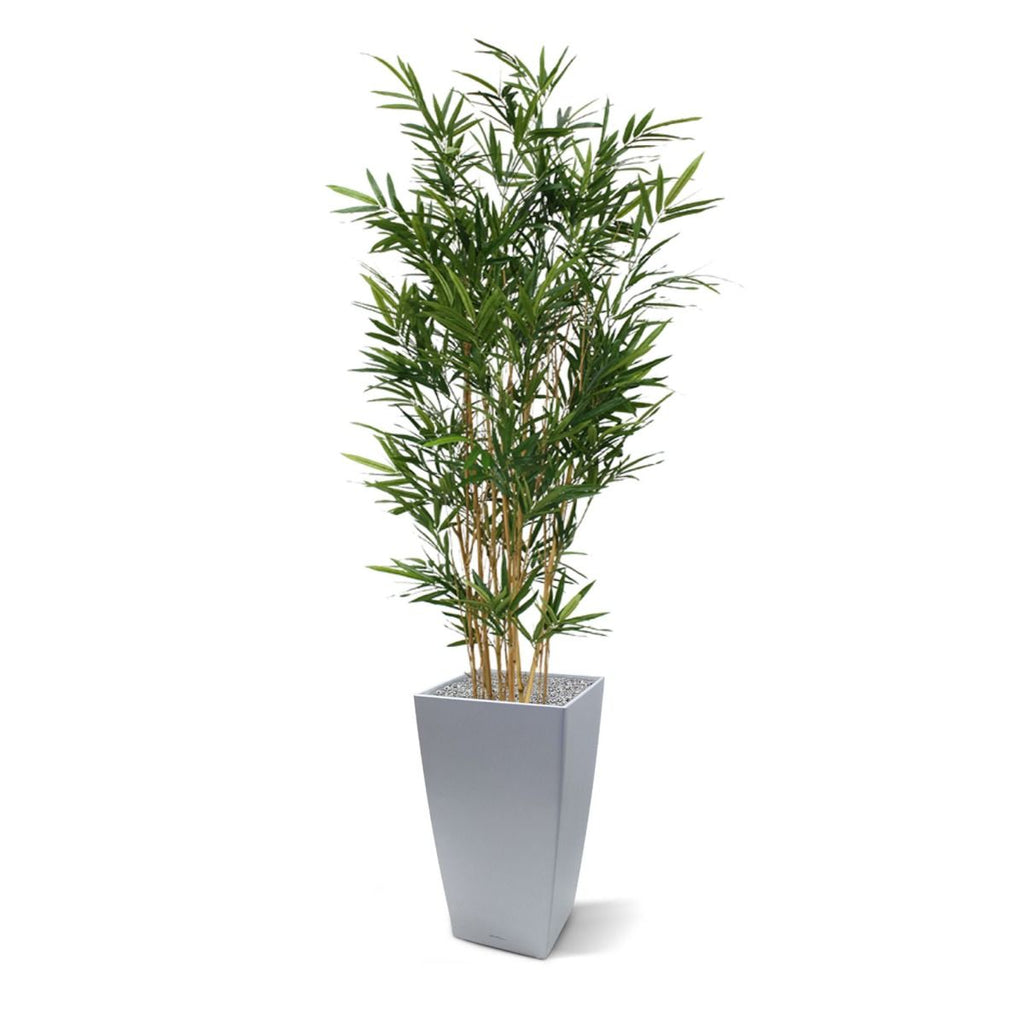 Royal Bamboe kunstboom 165cm - groen