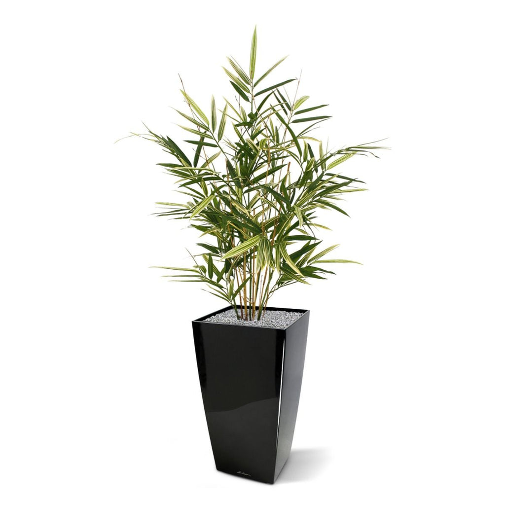 Royal Bamboe kunstplant 70cm - bont