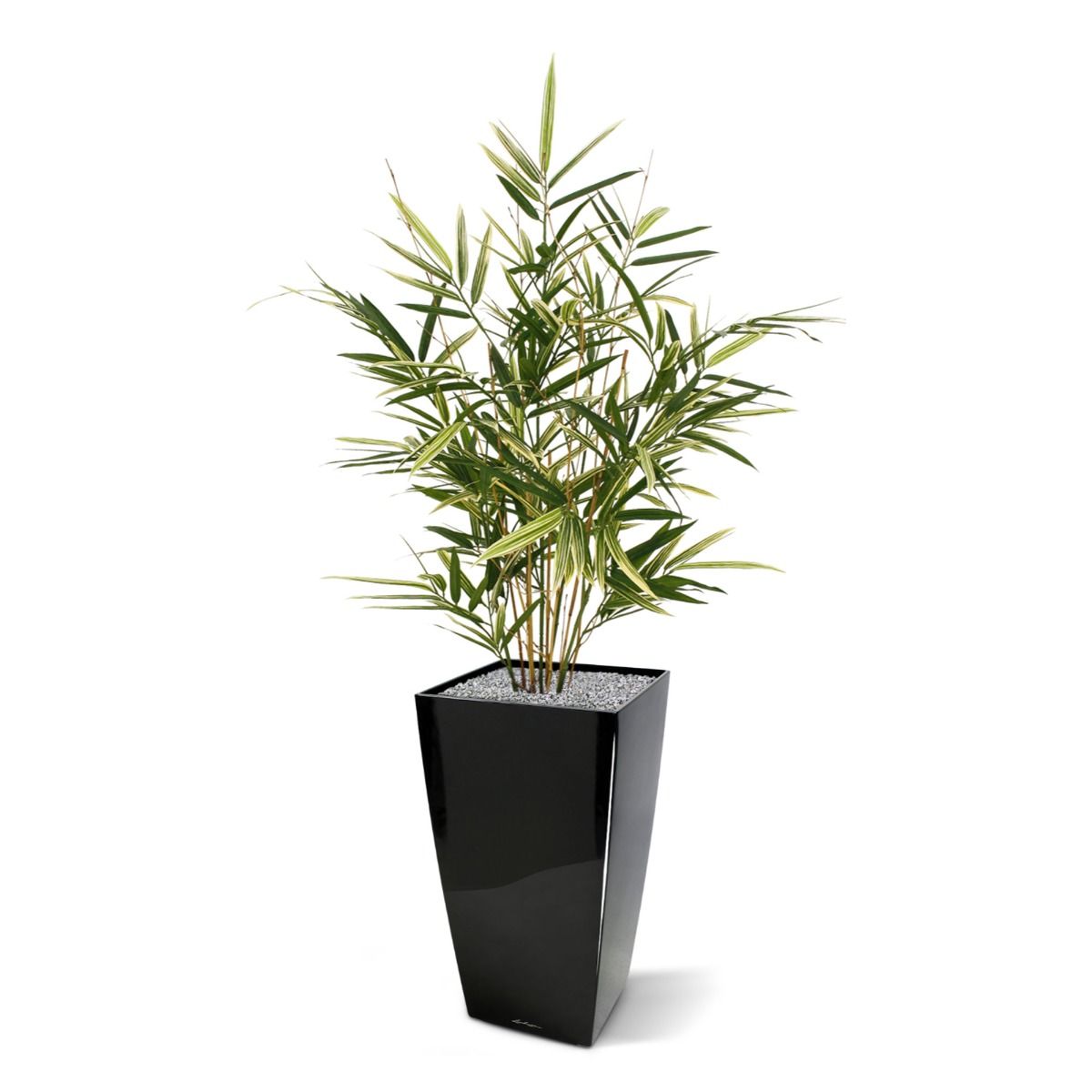 Royal Bamboe kunstplant 70cm - bont