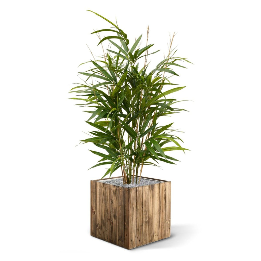 Royal Bamboe kunstplant 70cm - groen