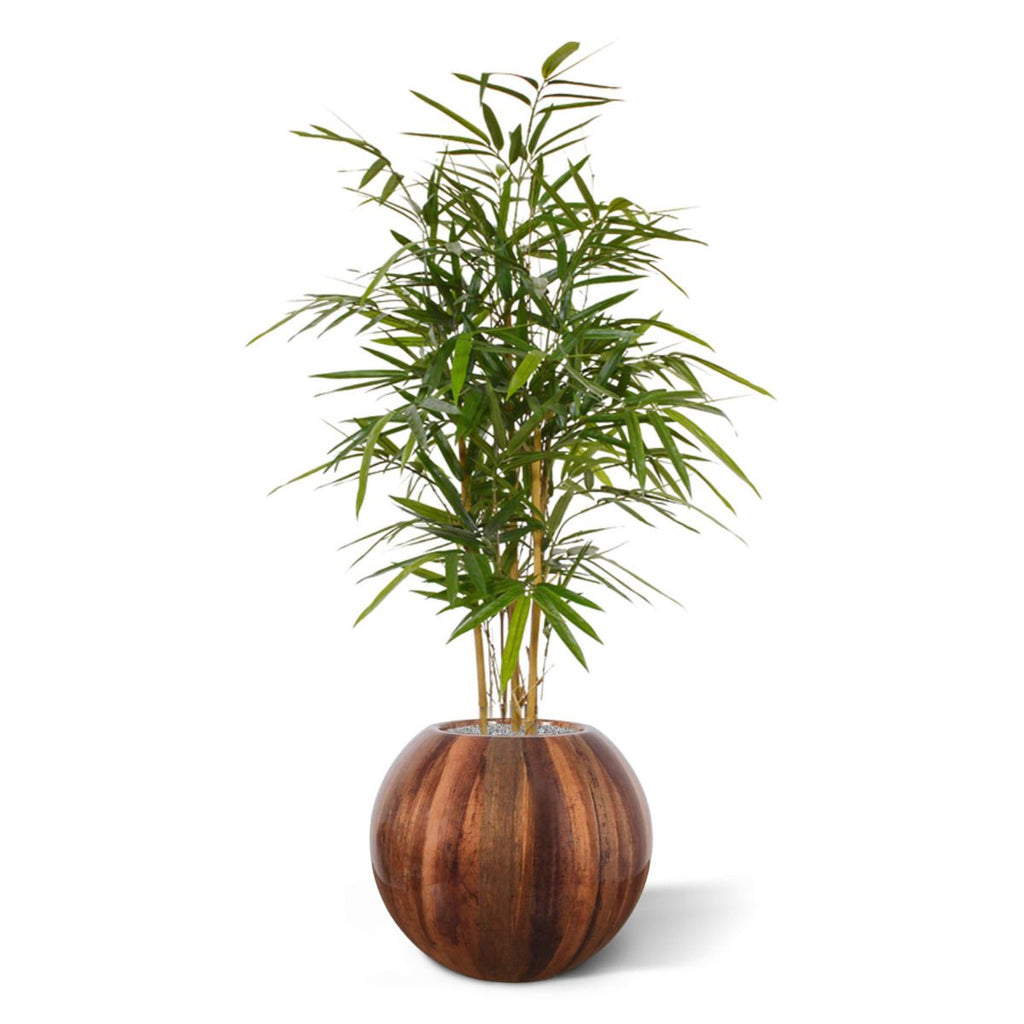 Royal Bamboe kunstplant 95cm