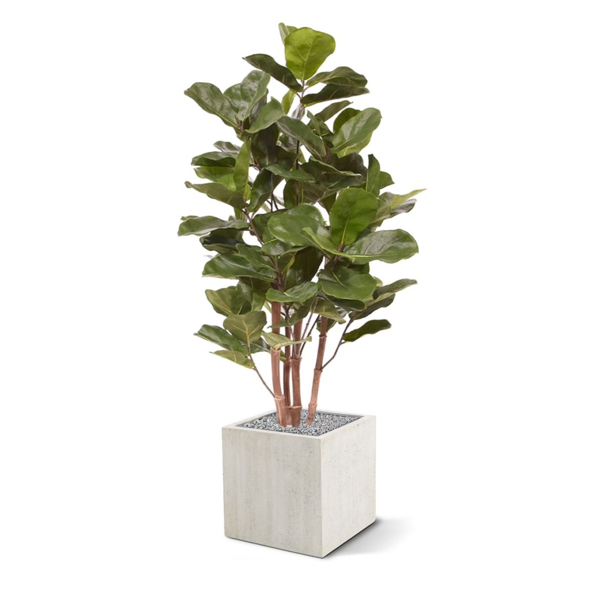 Royal Lyrata kunstplant 105 cm