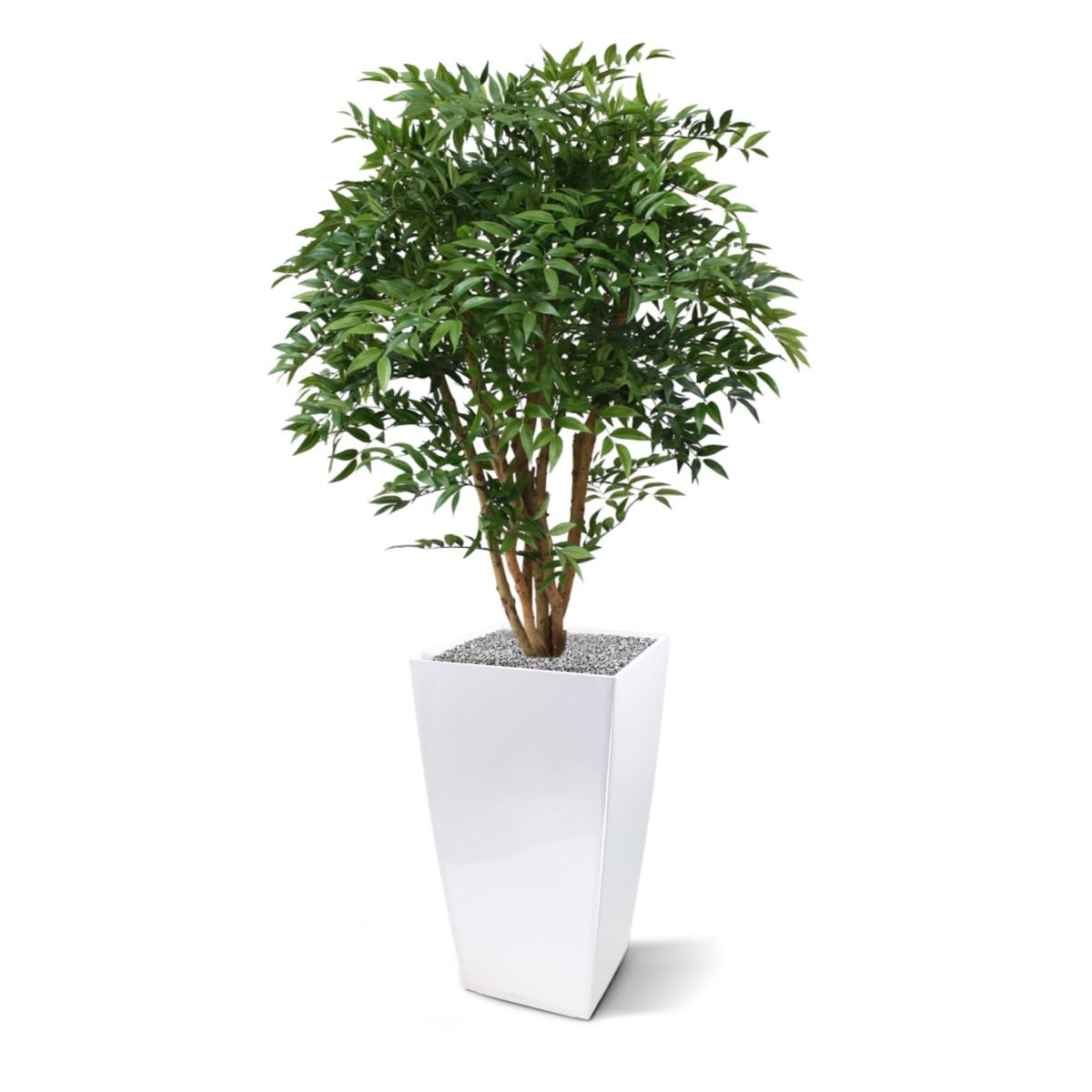 Ruscus deluxe N kunstplant 110cm