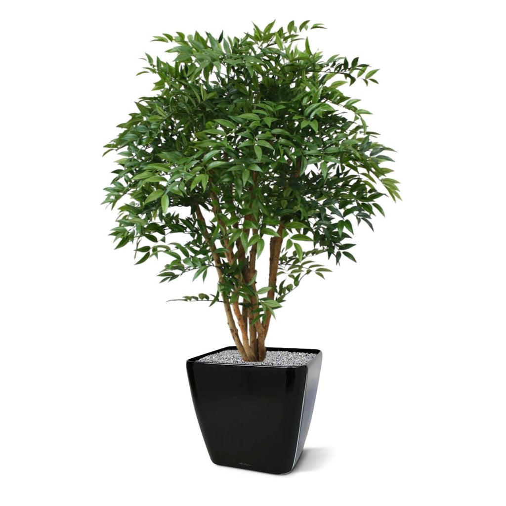 Ruscus deluxe N kunstplant 110cm