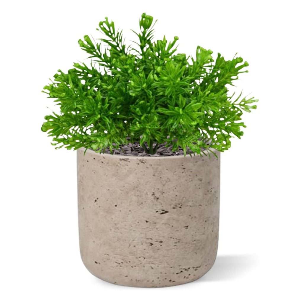 Senecio Mos kunstplant 15cm in pot