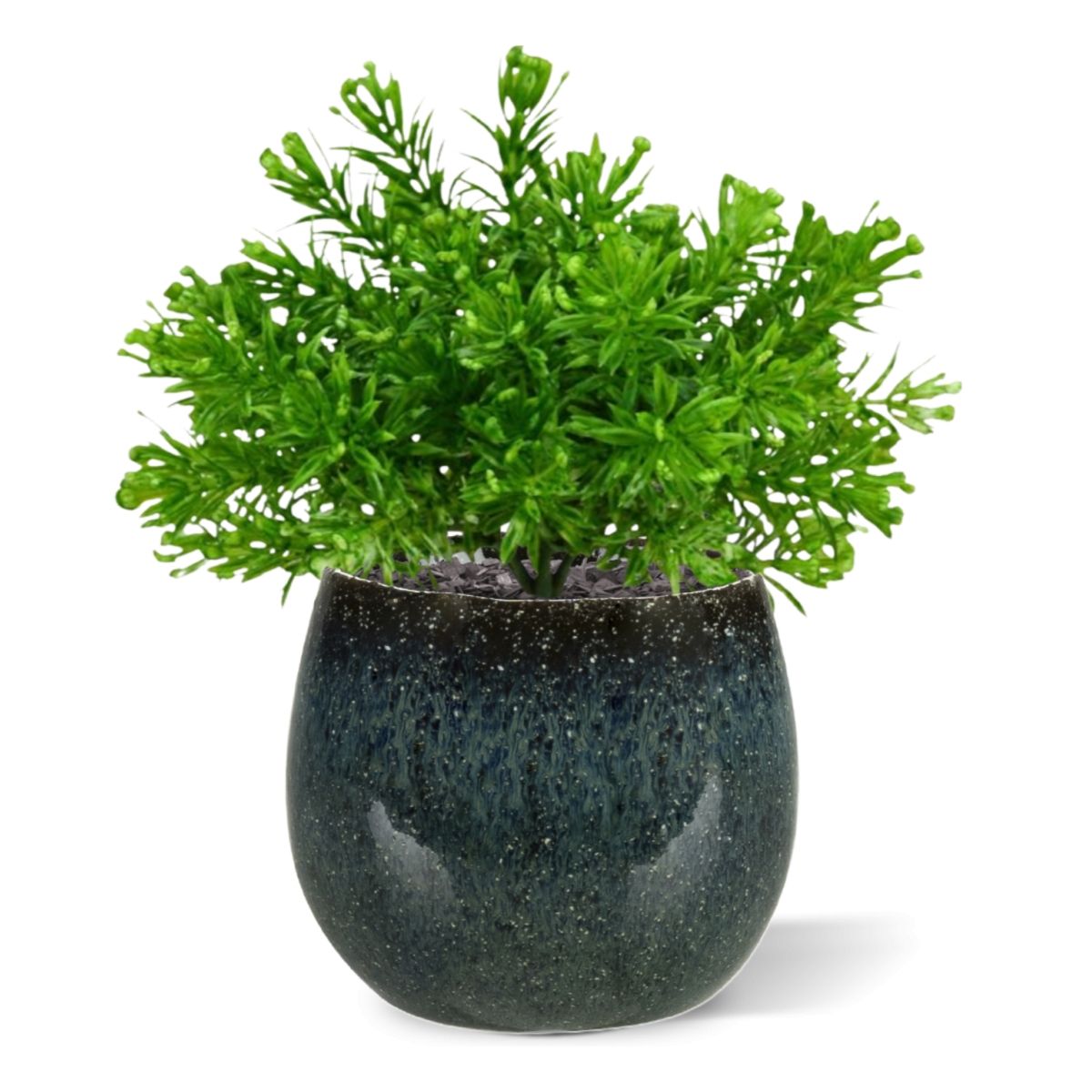 Senecio Mos kunstplant 15cm in pot