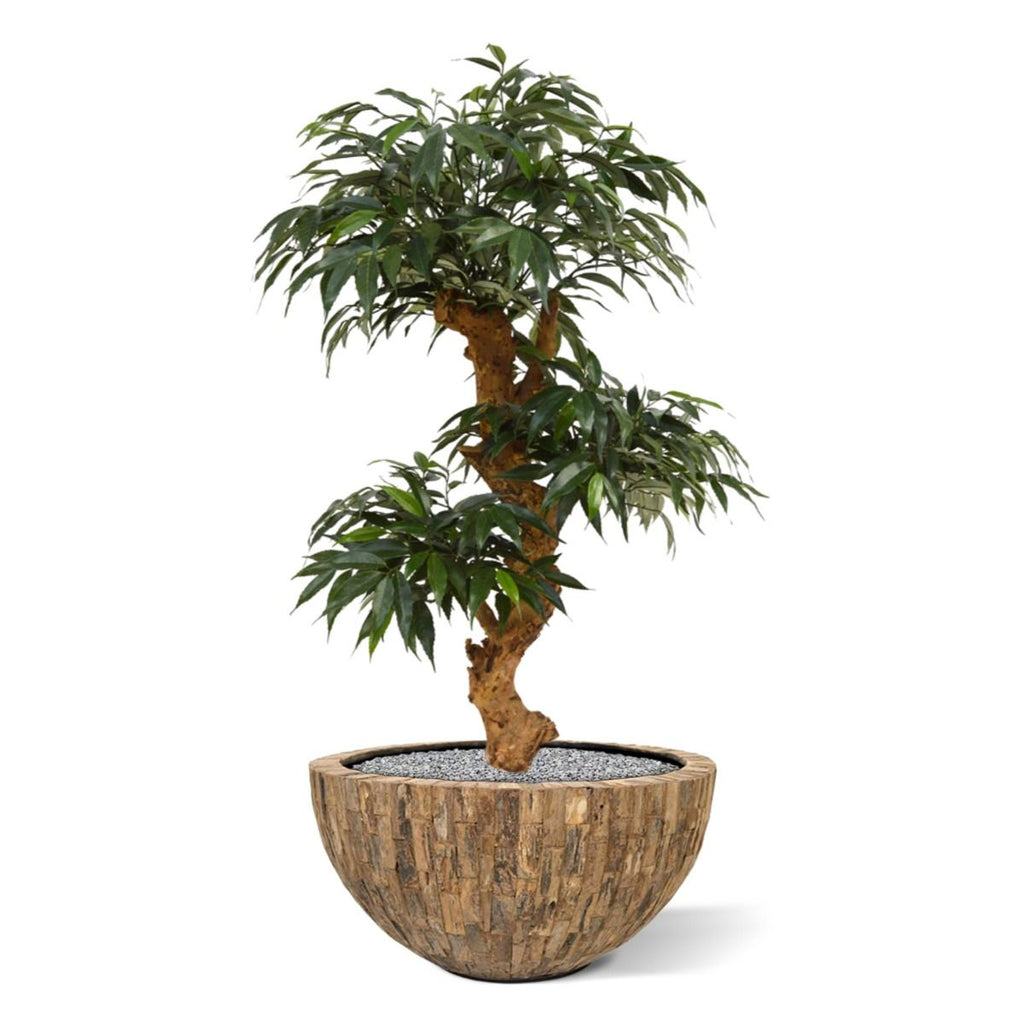 Shirakashi Bonsai x3 kunstboom op voet 80cm