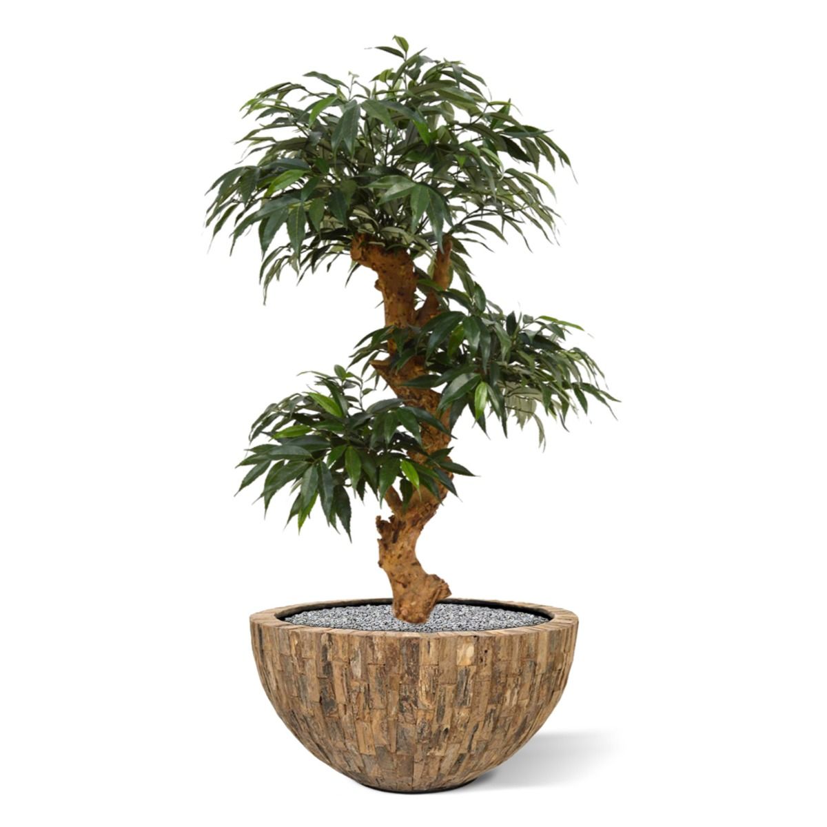 Shirakashi Bonsai x3 kunstboom op voet 80cm