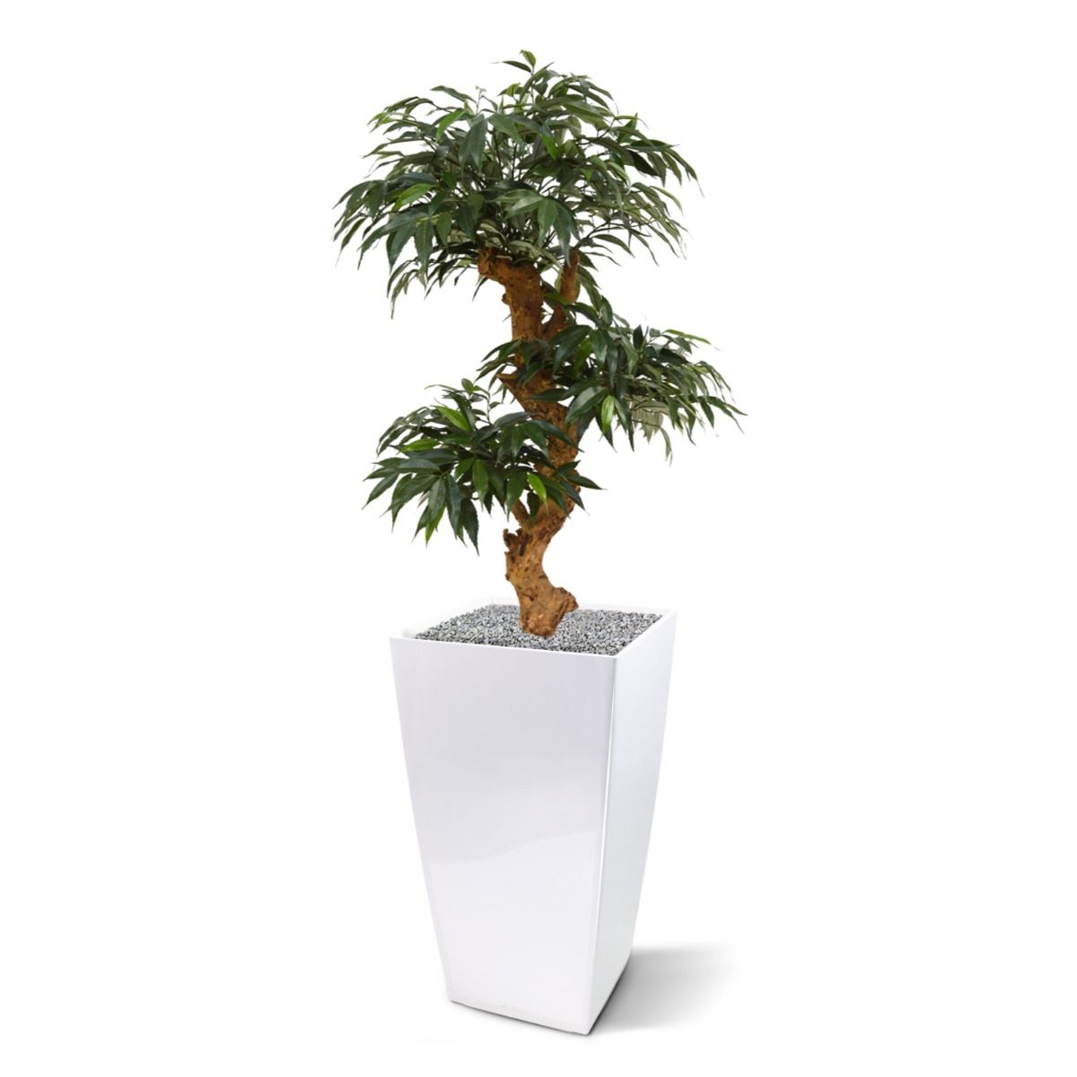Shirakashi Bonsai x3 kunstboom op voet 80cm
