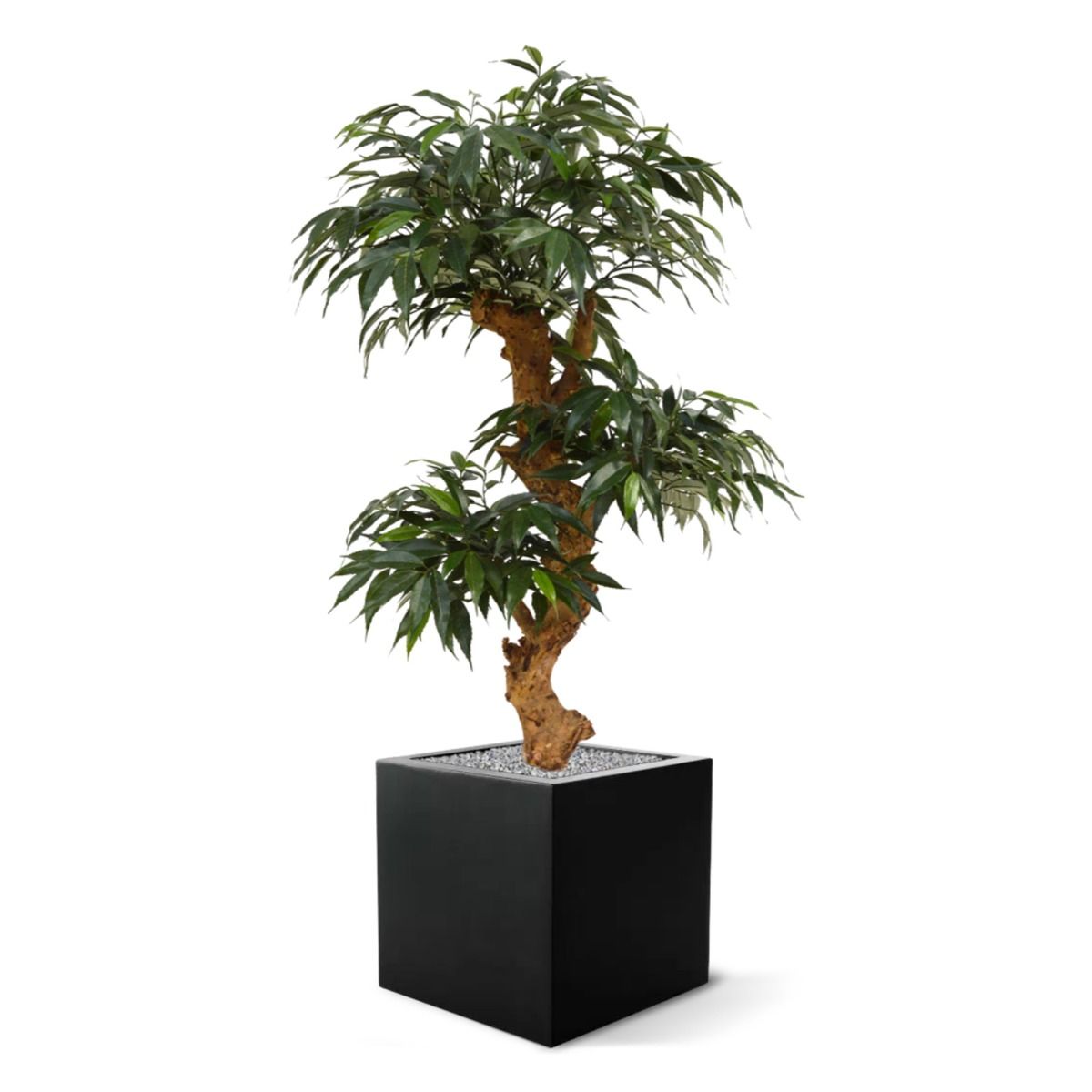 Shirakashi Bonsai x3 kunstboom op voet 80cm